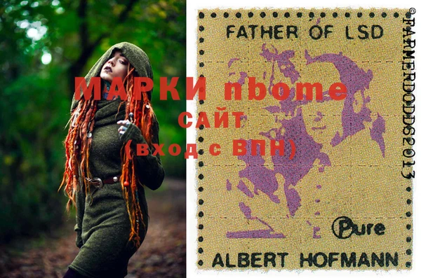 ГАЛЛЮЦИНОГЕННЫЕ ГРИБЫ Белоозёрский