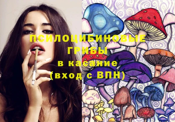 мдпв Белокуриха