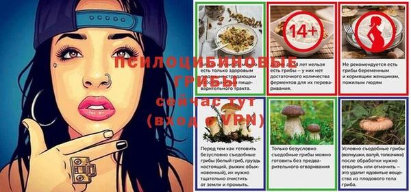 ГАЛЛЮЦИНОГЕННЫЕ ГРИБЫ Белоозёрский