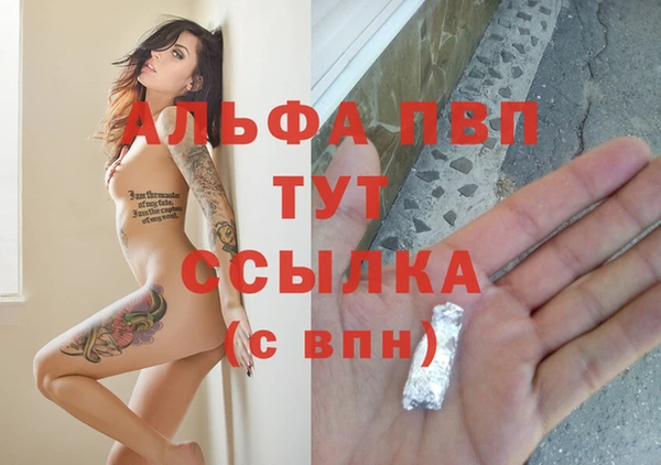 ГАЛЛЮЦИНОГЕННЫЕ ГРИБЫ Белоозёрский