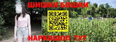 МДПВ Брянск