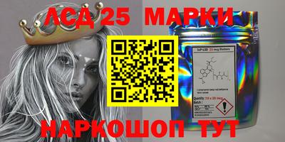 МДПВ Брянск