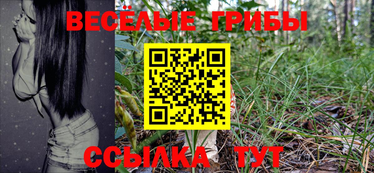 Верхний Уфалей  Псилоцибиновые грибы Psilocybine cubensis  Вход с VPN 